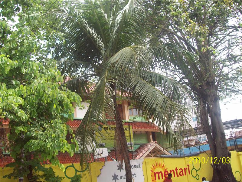 SMP NEGERI 76 JAKARTA Annibuku smp-negeri-76-jakarta-annibuku